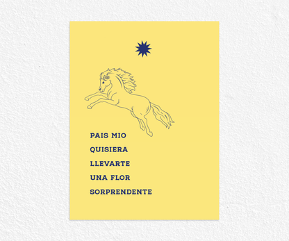 País mío quisiera llevarte una flor sorprendente
